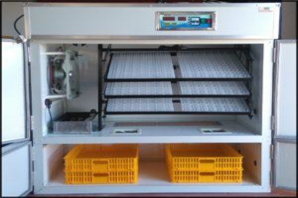 Easyhatch Incubation Equipment Co.