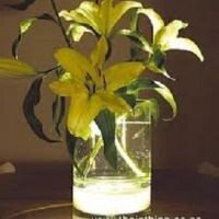 Ec Lighting Solutions