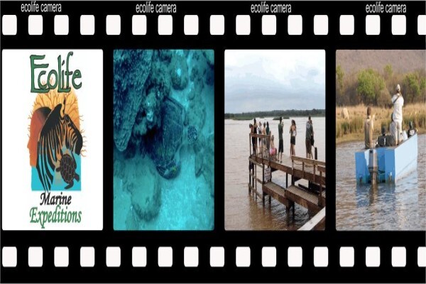 Ecolife
