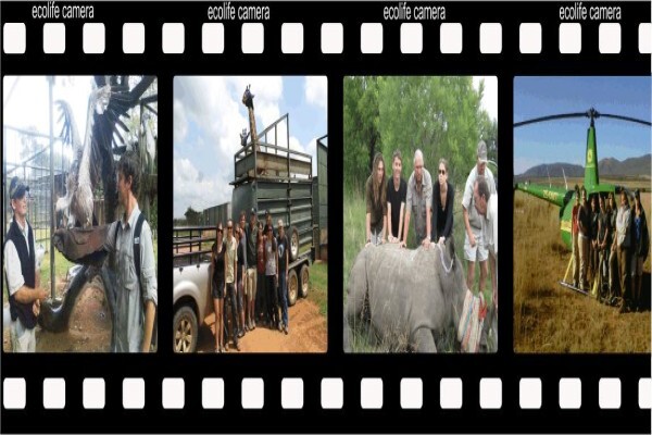 Ecolife