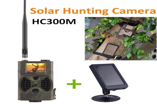 Ecosales