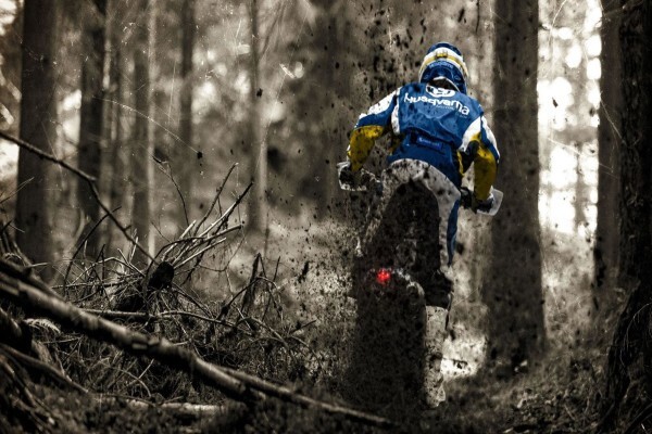 Eddy 2 Race