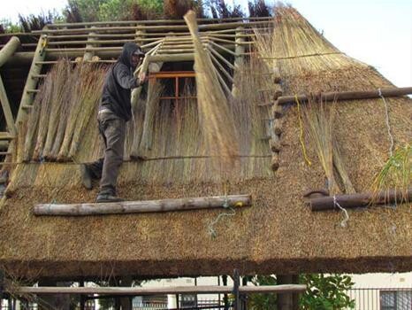 Eden Thatching
