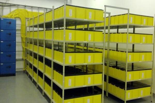Eds Ups (Engineering Data Systems)