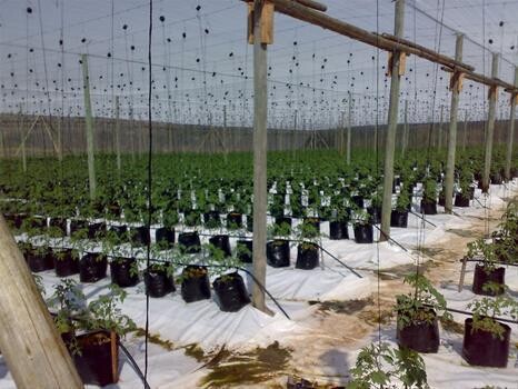 Agriservices Mbombela