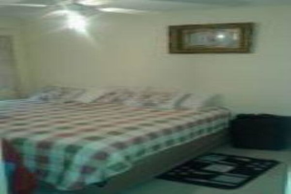 Alcus Gauteng