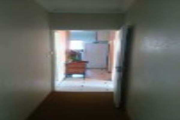 Alcus Gauteng