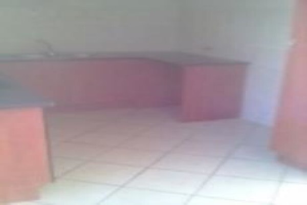 Alcus Gauteng
