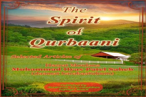 Al-Haadi