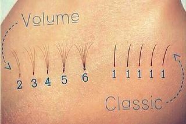 Allure Lashes