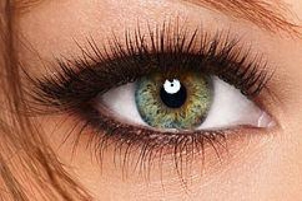 Allure Lashes