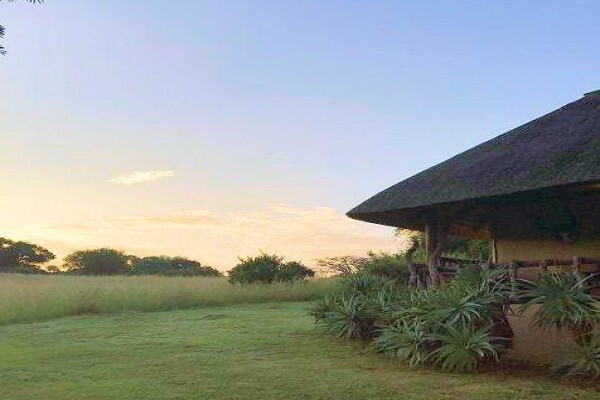 Aloe Africa Hunting