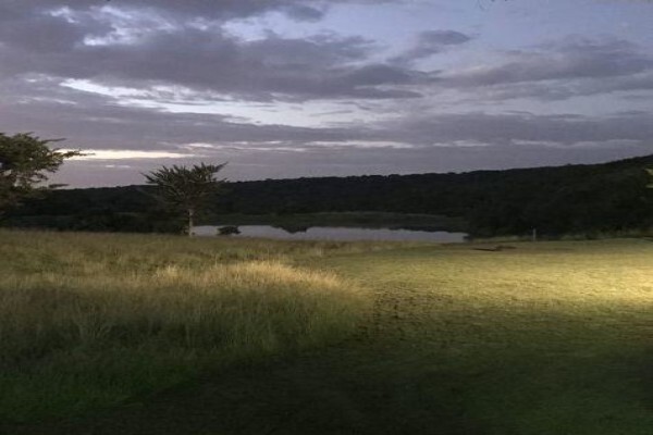 Aloe Africa Hunting