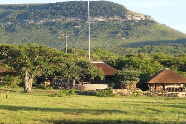 Aloe Africa Hunting