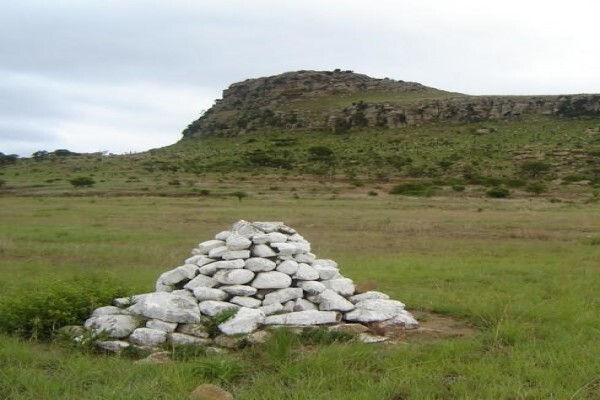 Aloe Africa Hunting