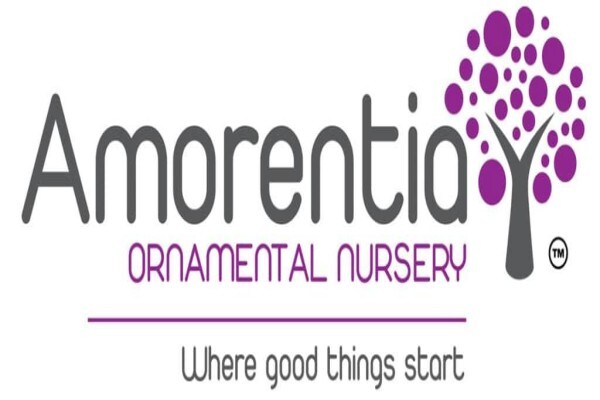 Amorentia Estate & Nursery