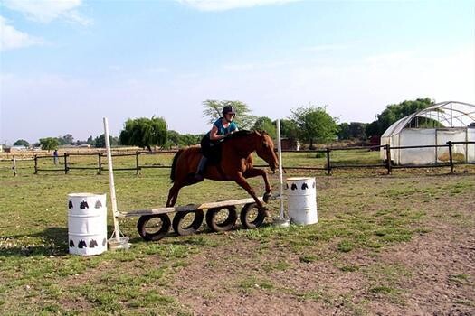 Angove Equestrian And Sport Horse Stud