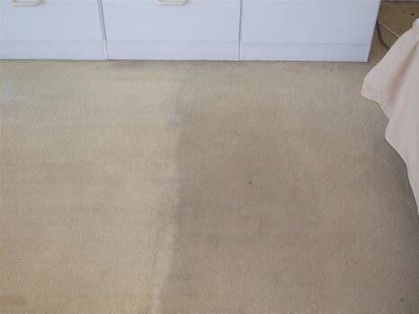 Action Cleaning Services