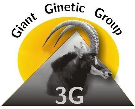 3G Wildlife Auction - Game Capture And Sales