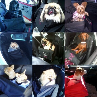 3Ps Practical Pet Products