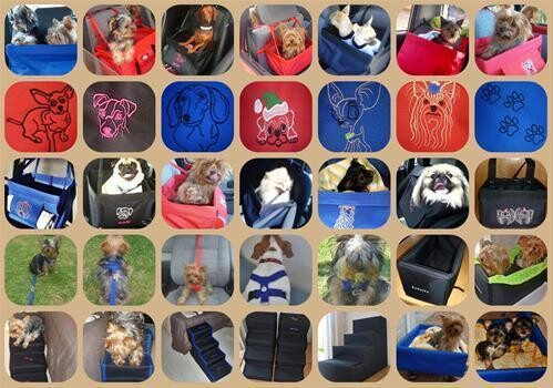 3Ps Practical Pet Products