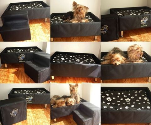 3Ps Practical Pet Products