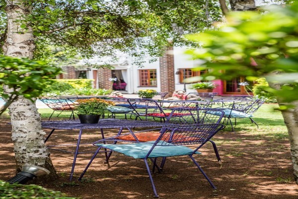 5Th Avenue Gooseberry Guest House