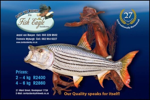 Andre Van Rooyen Taxidermy