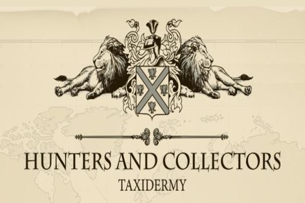 Hunters & Collectors Taxidermy