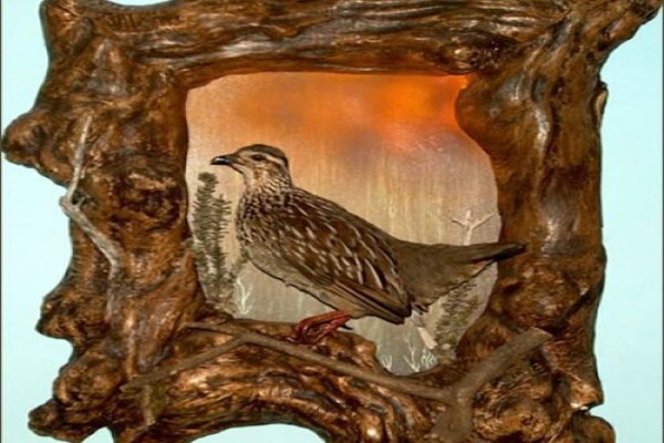Andre Van Rooyen Taxidermy