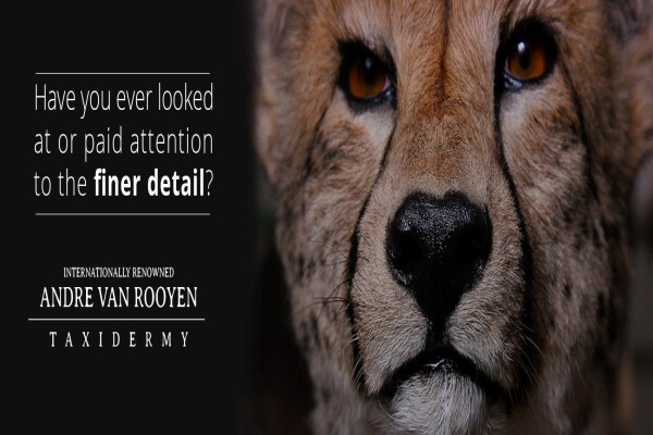 Andre Van Rooyen Taxidermy
