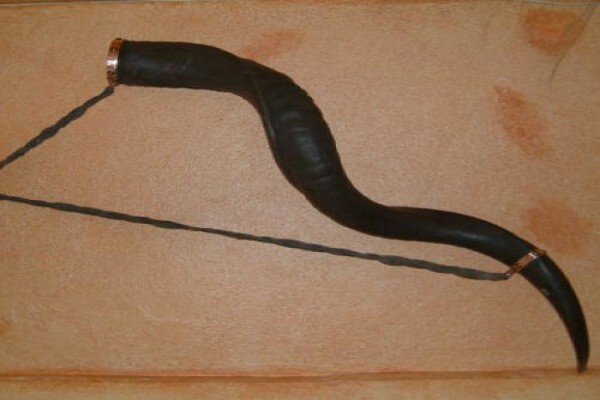 Andre Van Rooyen Taxidermy
