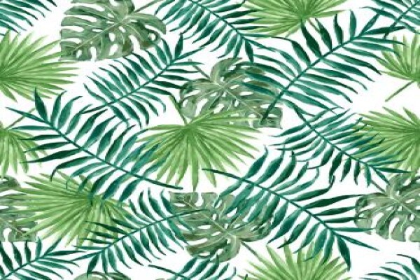 Abies Dress Fabrics