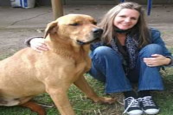 About Dogs