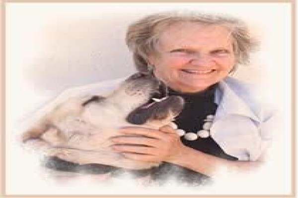 About Dogs
