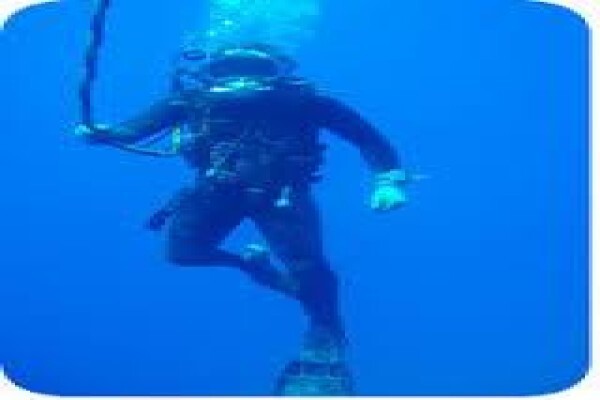 Ace Diving
