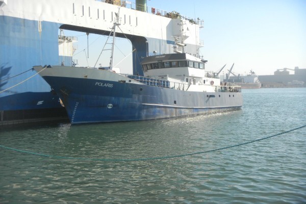 Admiralty Ship Sales