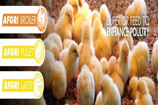 Afgri Animal Feeds - Jock Dog Food