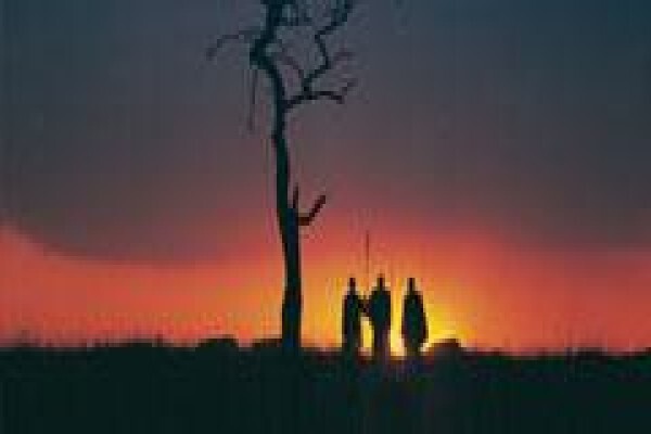Africa Experience