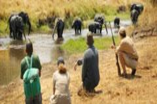 Africa Experience