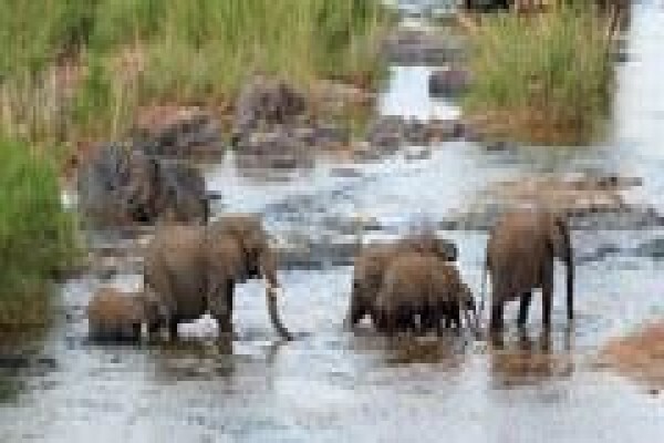 Africa Experience