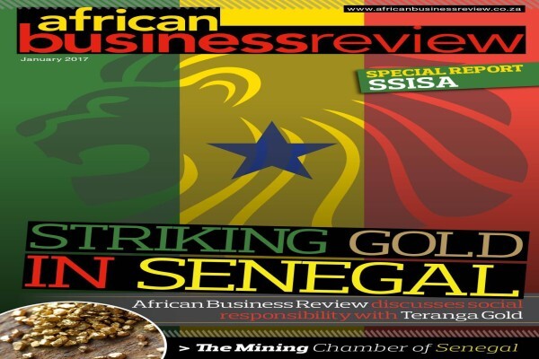 African Business Review