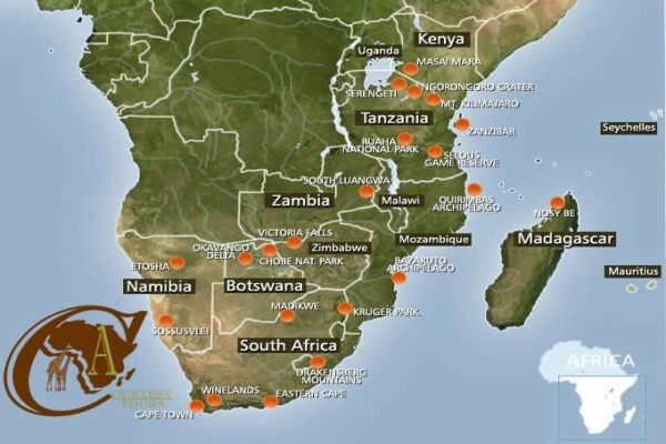 African Courtesy Tours
