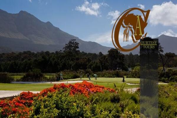 African Courtesy Tours
