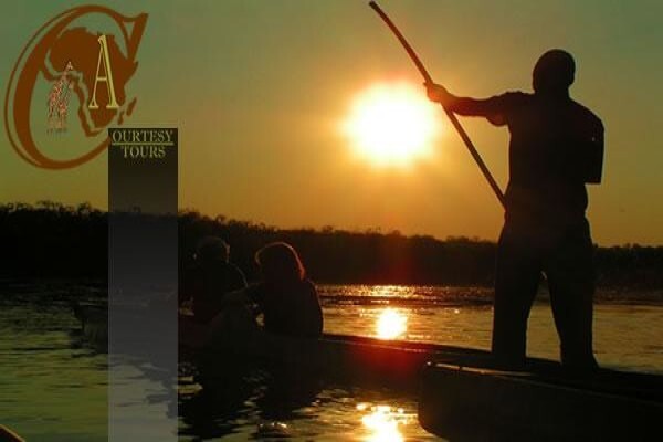 African Courtesy Tours