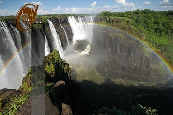 African Courtesy Tours