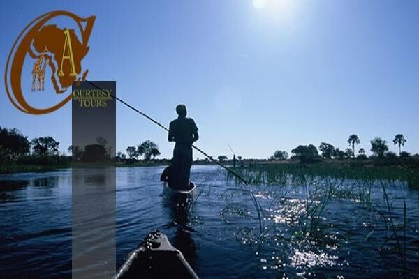 African Courtesy Tours