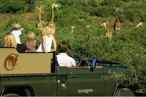 African Courtesy Tours