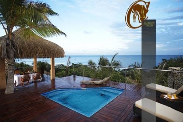 African Courtesy Tours