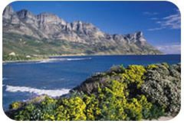 African Ikon Travel (Member Of Cape Town Tourism)